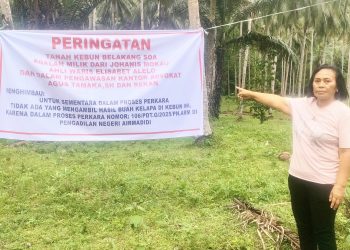 Gawat, Cara-Cara Mafia Tanah Menyerobot Tanah Yang Di Kuasai Pemilik. 29/5/2025.