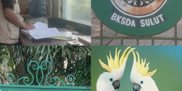 Dugaan Ketidakjelasan Barang Bukti oleh Oknum PPNS Kehutanan Manado Jadi Sorotan Publik