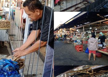 Forum P4T: Pedagang Ikan Tolak Pemagaran Lapak Pasar Bersehati, Desak Penegak Hukum Usut Dugaan Pelanggaran Yang Ada di Perumda