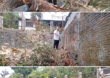 Eka Dicky S. Mantik Laporkan Dugaan Penyerobotan Pekarangan dan Penebangan Pohon ke Polda Sulut” Rabu, 9/09/2026